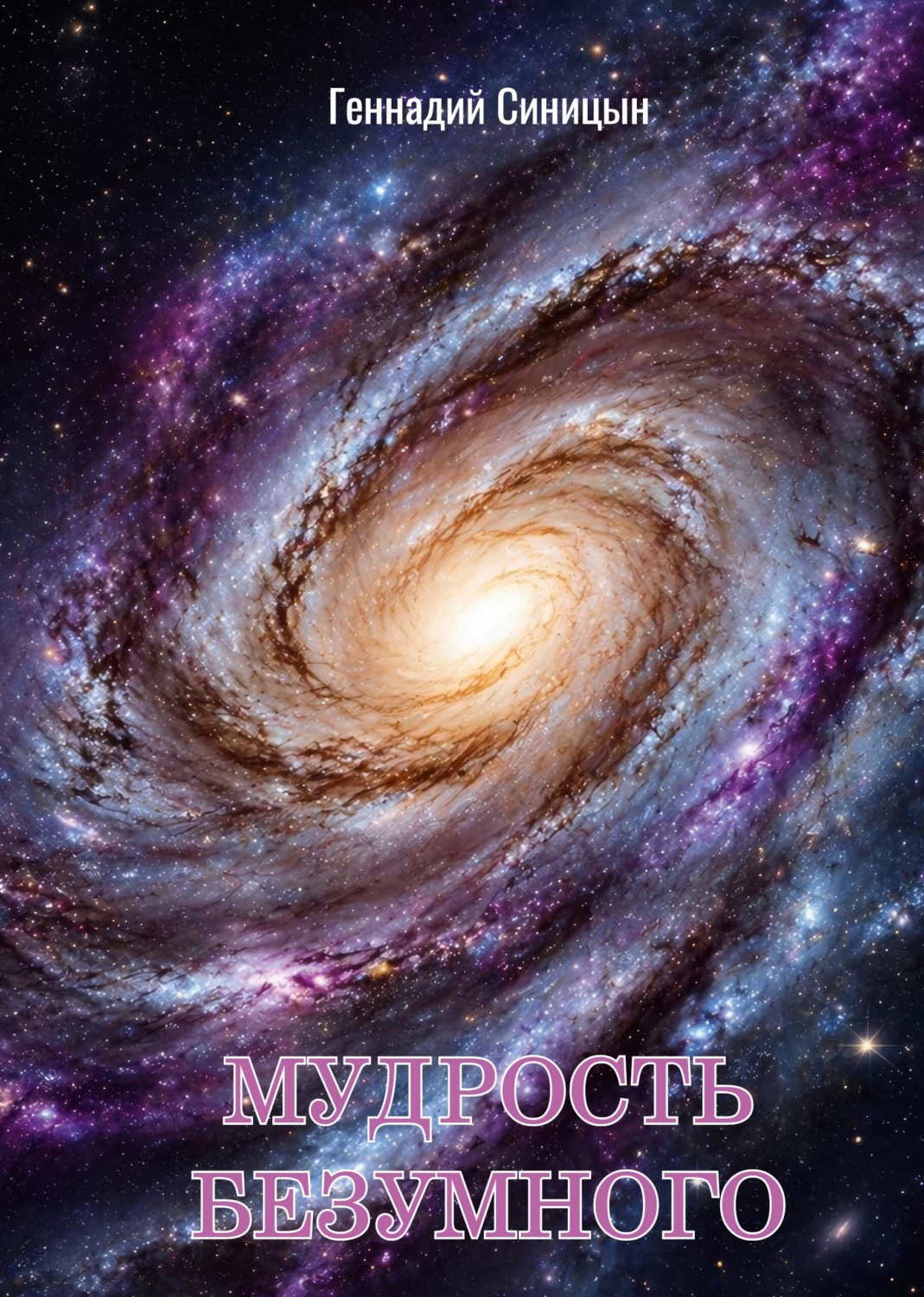 Обложка книги «Мудрость безумного»