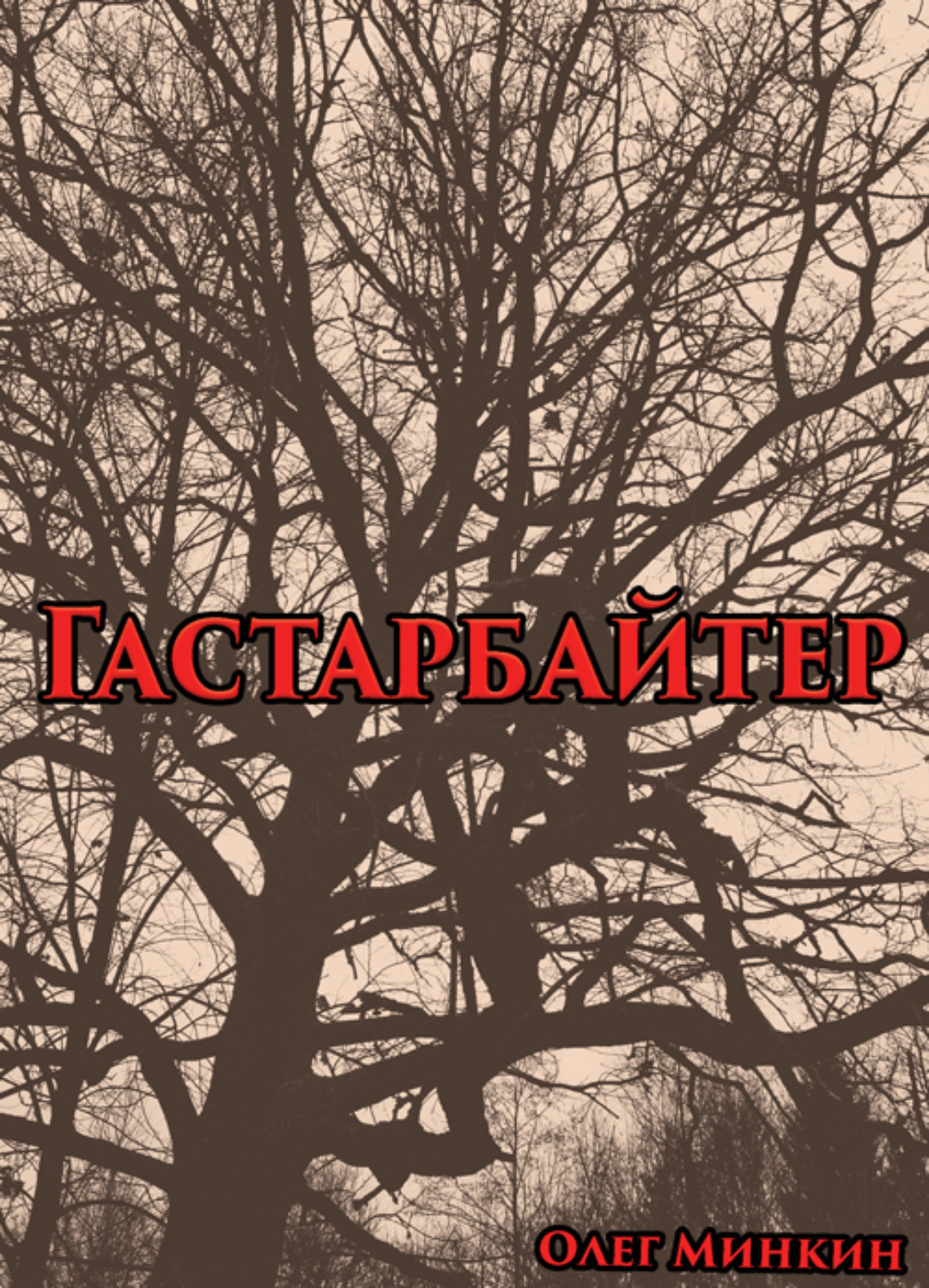 Обложка книги «Гастарбайтер»