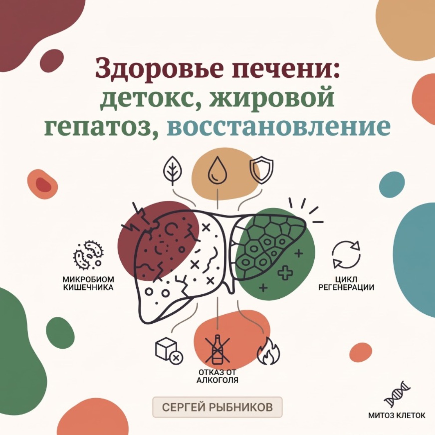 Обложка книги «Здоровье печени: детокс, жировой гепатоз, восстановление»