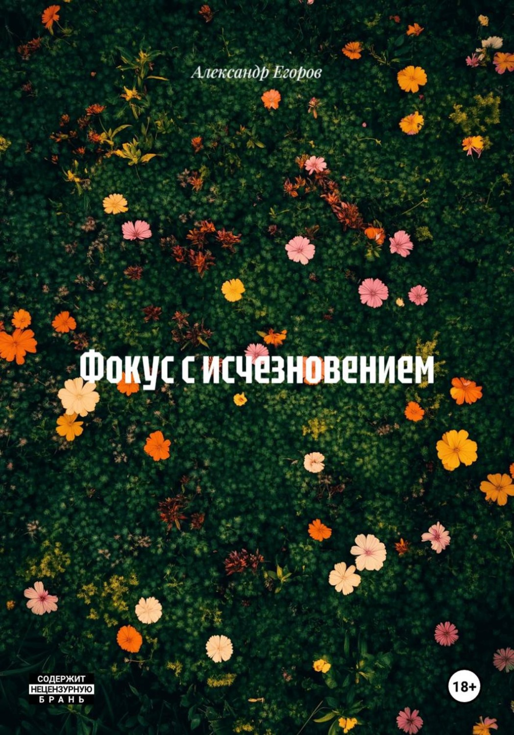 Обложка книги «Фокус с исчезновением»
