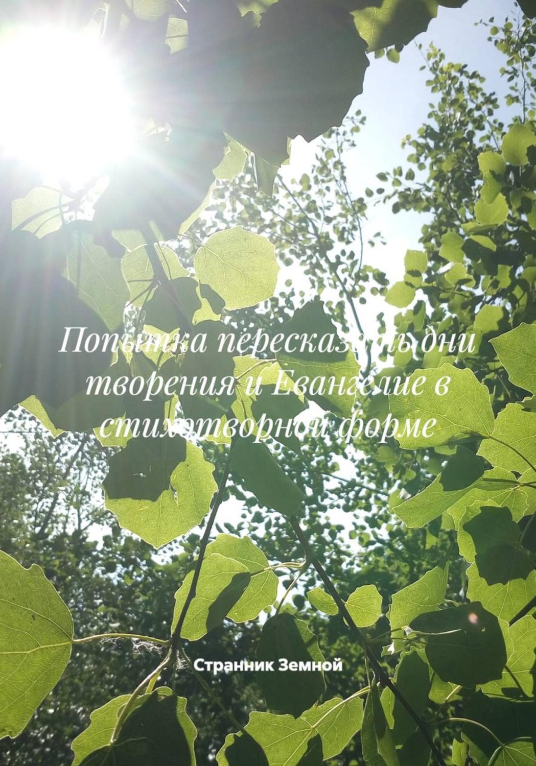 Обложка книги «Попытка пересказать дни творения и Евангелие в стихотворной форме»