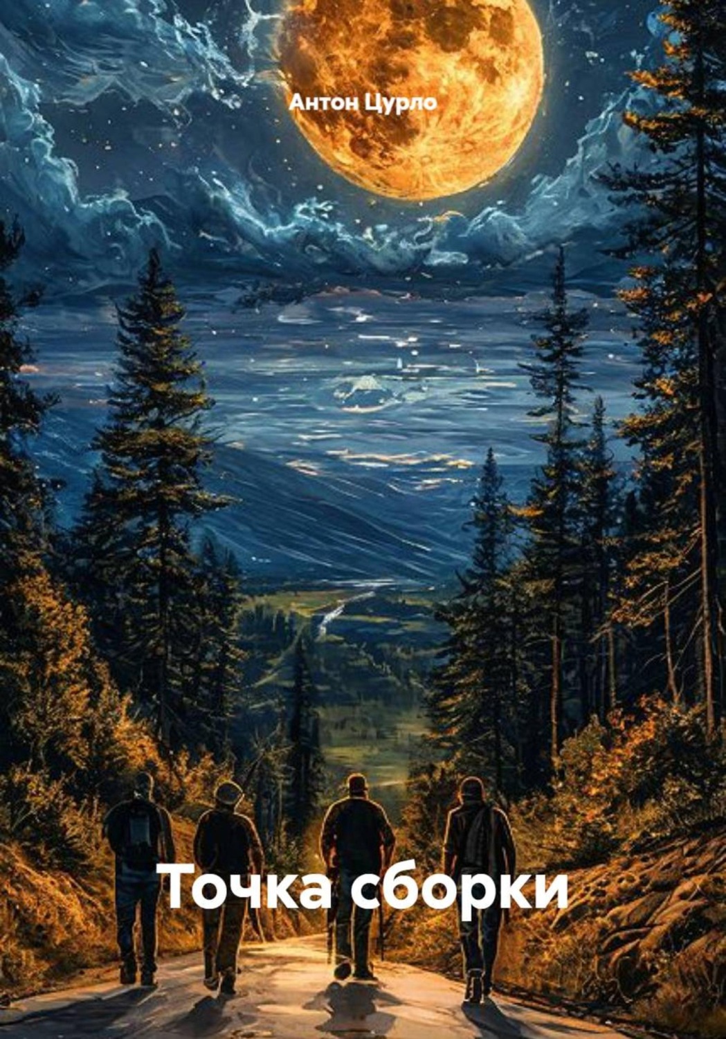 Обложка книги «Точка сборки»