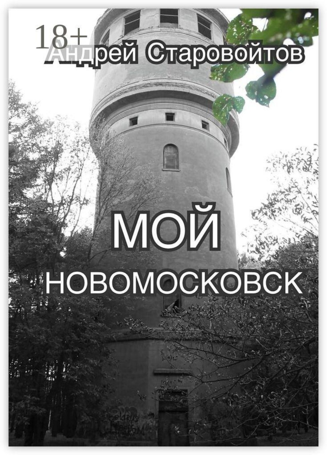 Обложка книги «Мой Новомосковск»