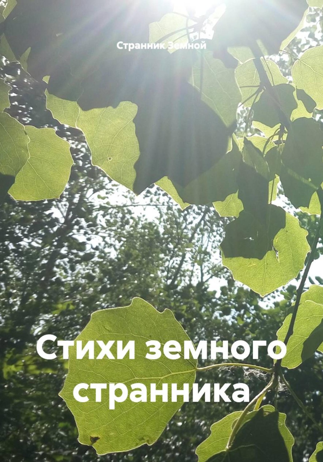 Обложка книги «Стихи земного странника»