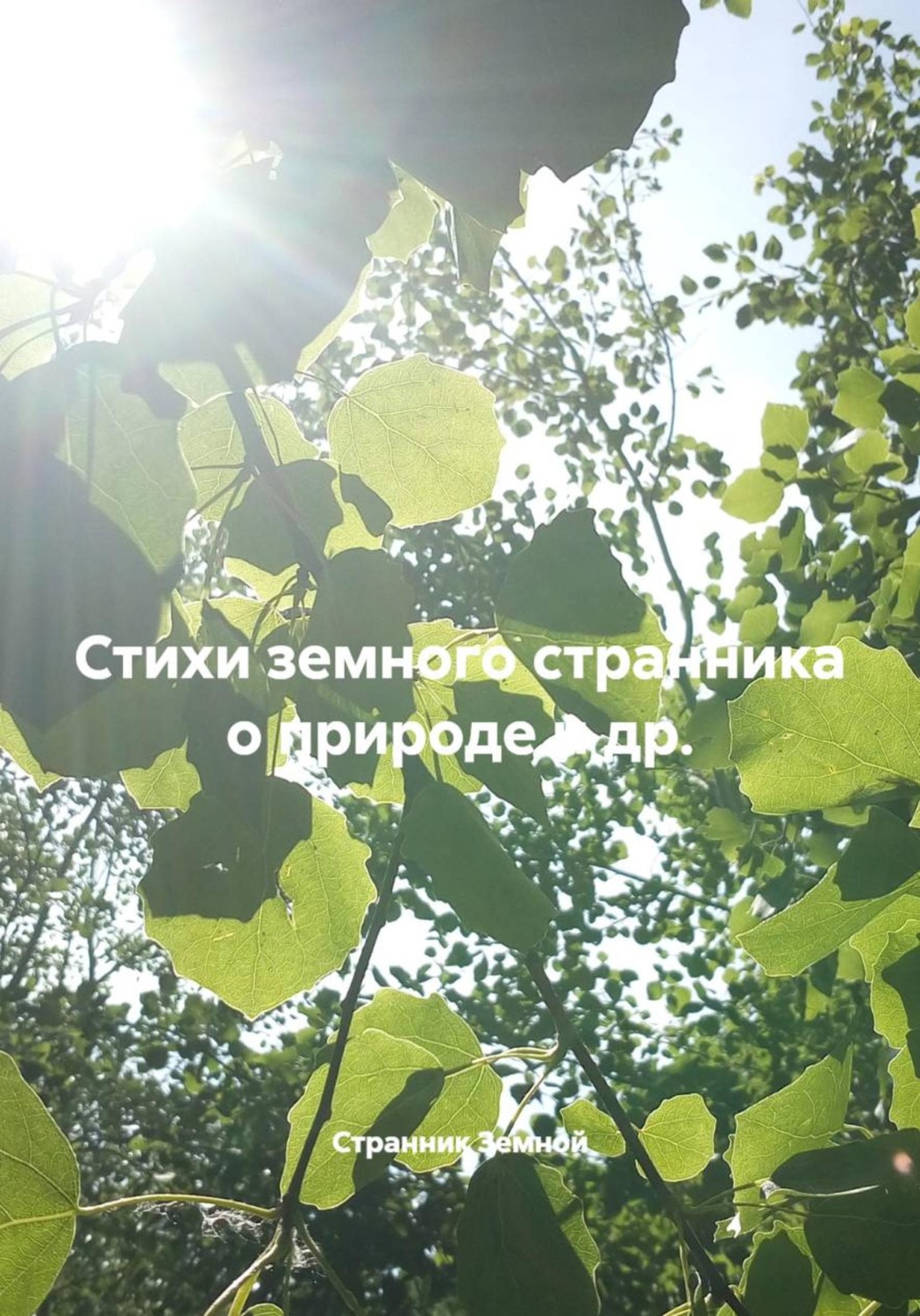 Обложка книги «Стихи земного странника о природе и др.»