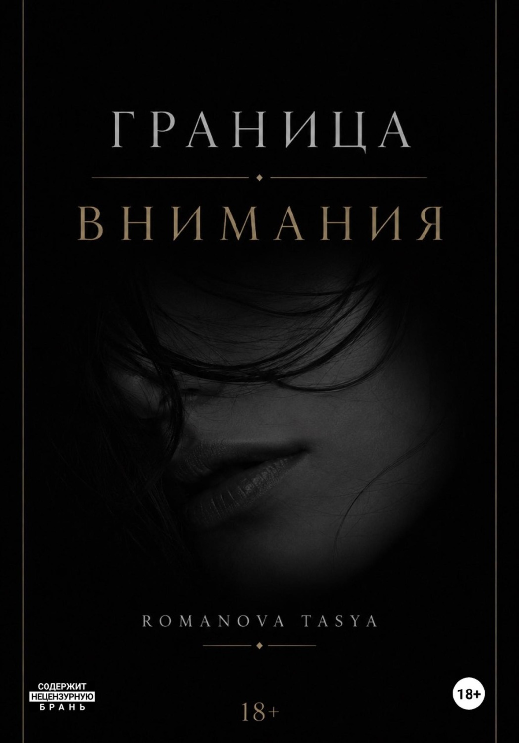 Обложка книги «Граница внимания»