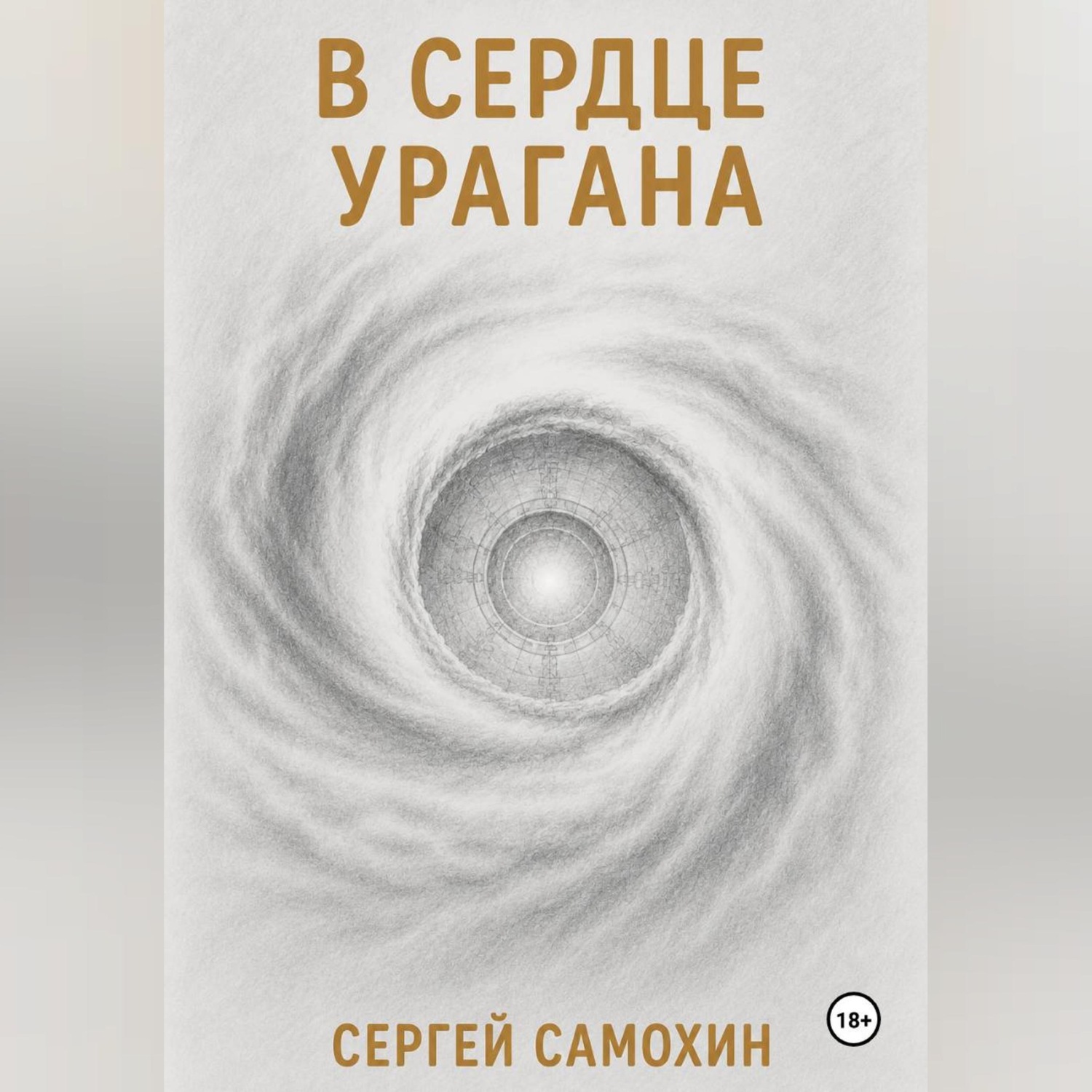 Обложка книги «В сердце урагана»