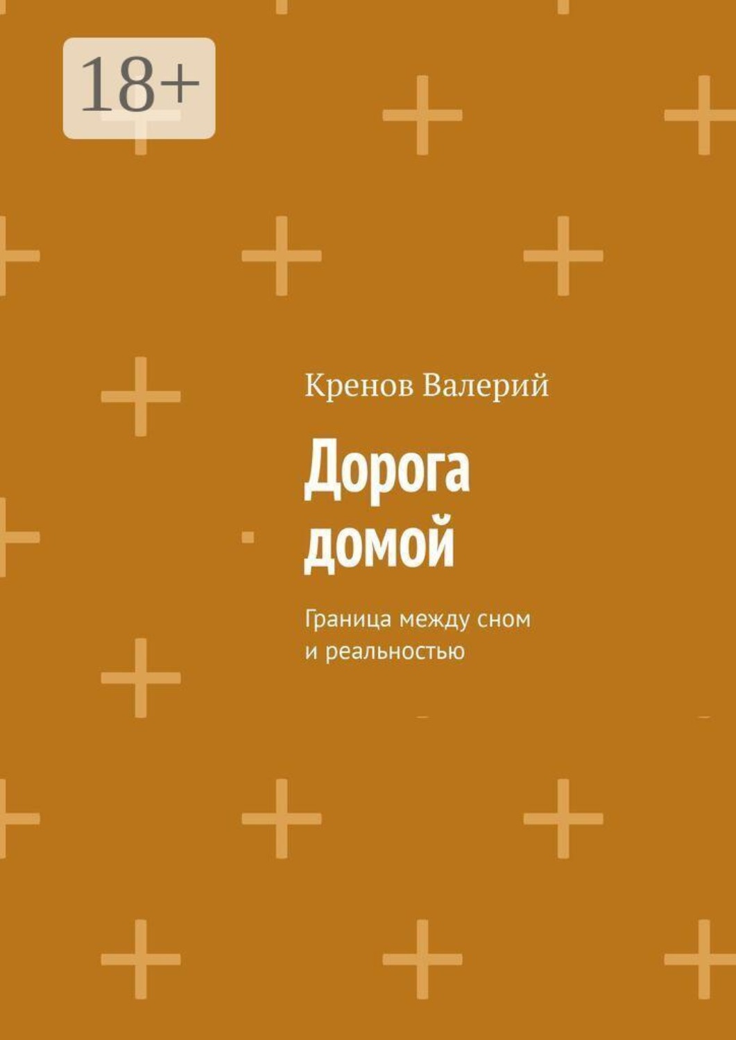 Обложка книги «Дорога домой.. Граница между сном и реальностью»
