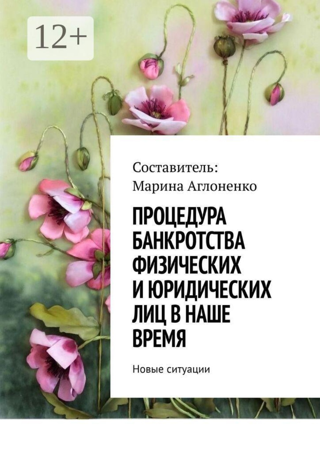 Обложка книги «Процедура банкротства физических и юридических лиц в наше время. Новые ситуации»