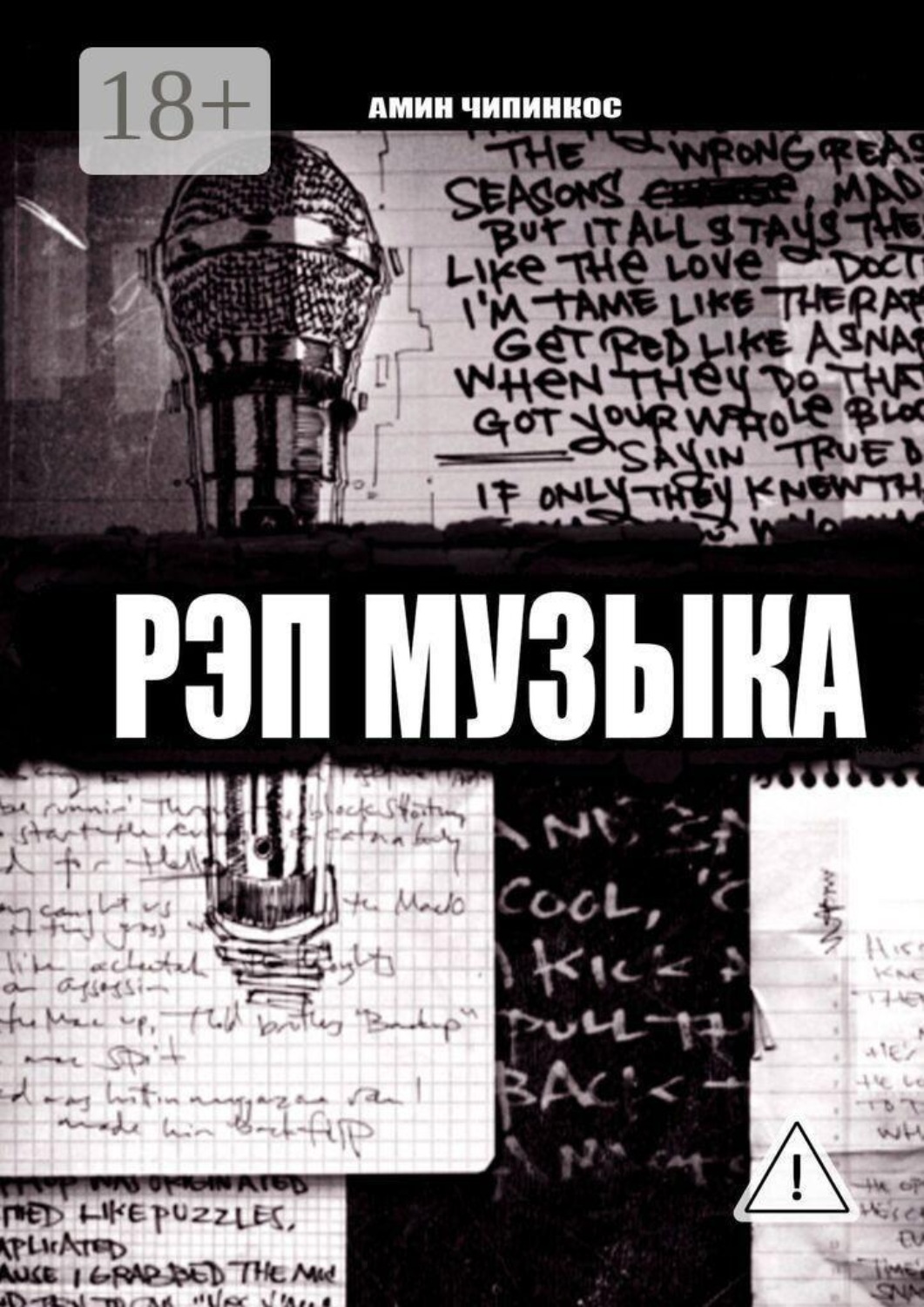 Обложка книги «Рэп музыка»