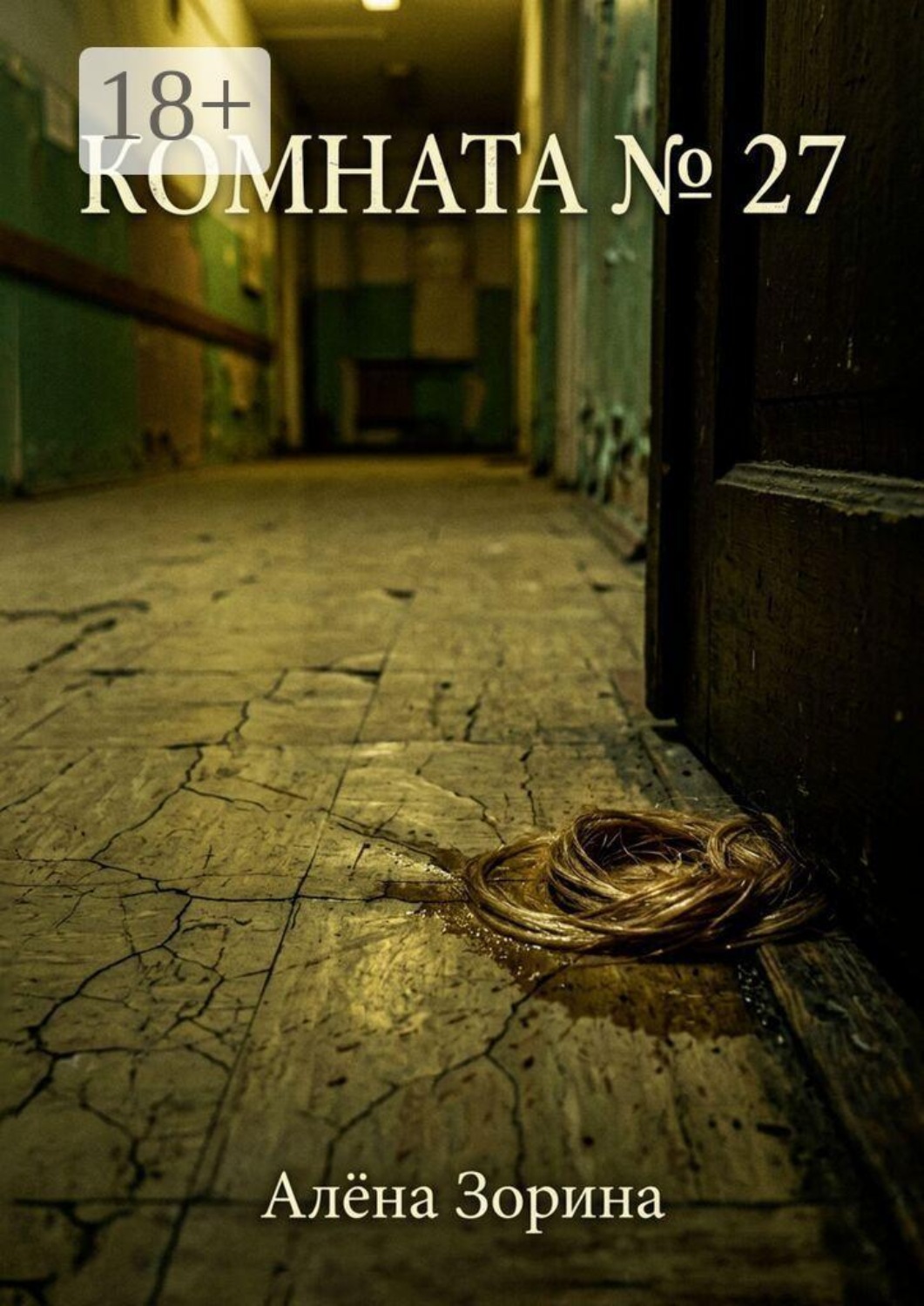 Обложка книги «Комната №27»