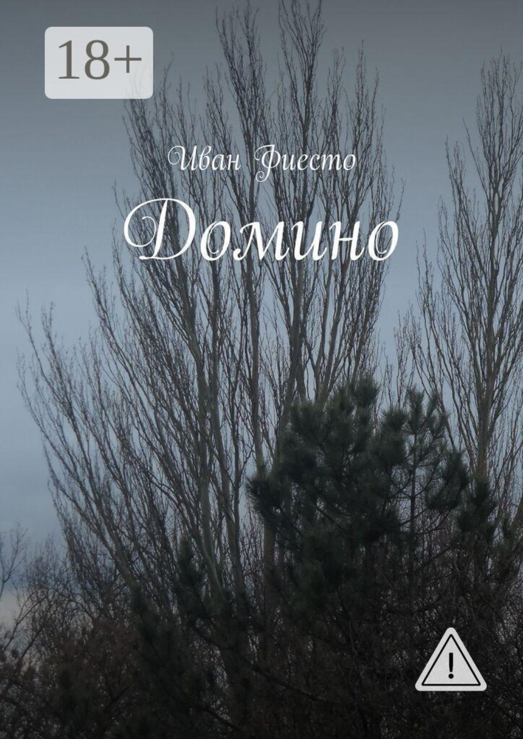 Обложка книги «Домино»
