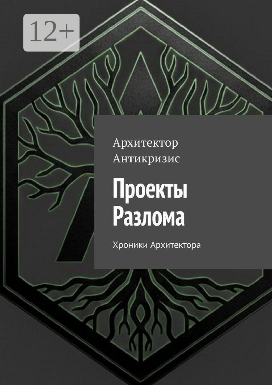 Обложка книги «Проекты Разлома. Хроники Архитектора»