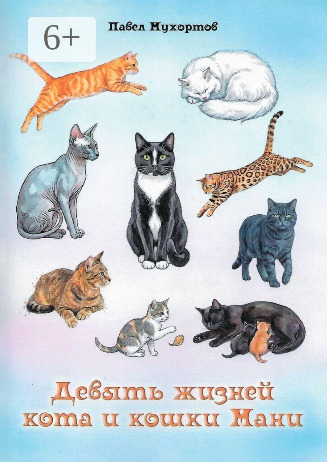 Обложка книги «Девять жизней кота и кошки Мани»