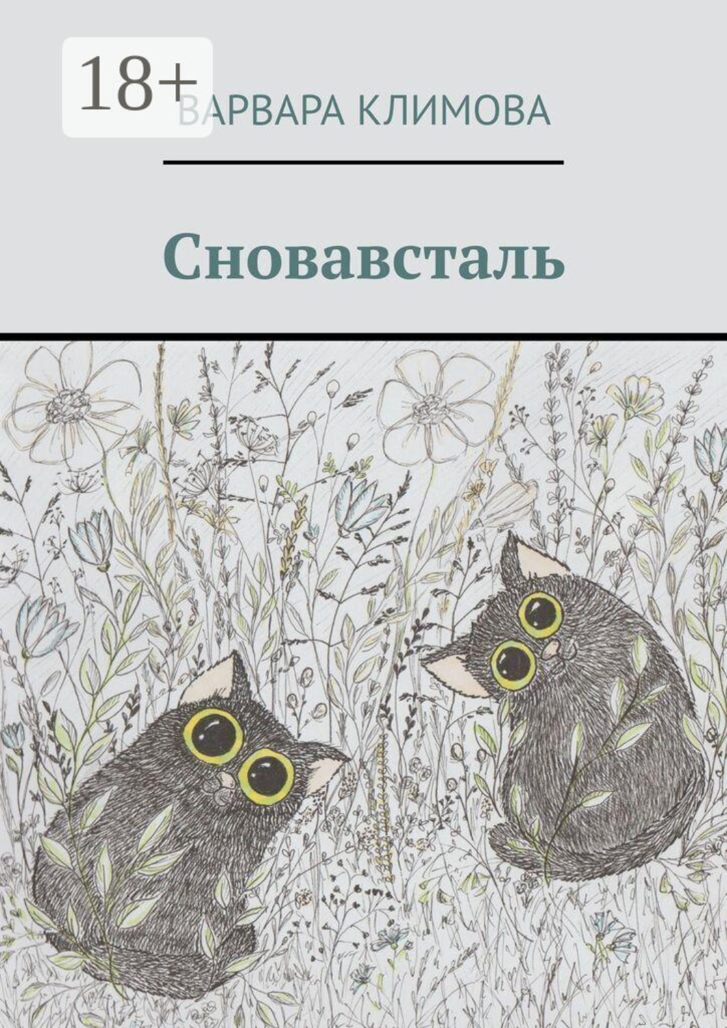 Обложка книги «Сновавсталь»