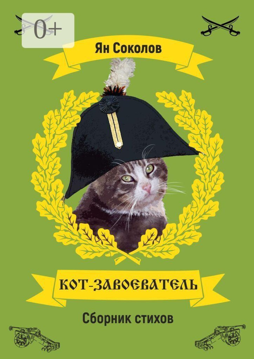 Обложка книги «Кот-завоеватель»