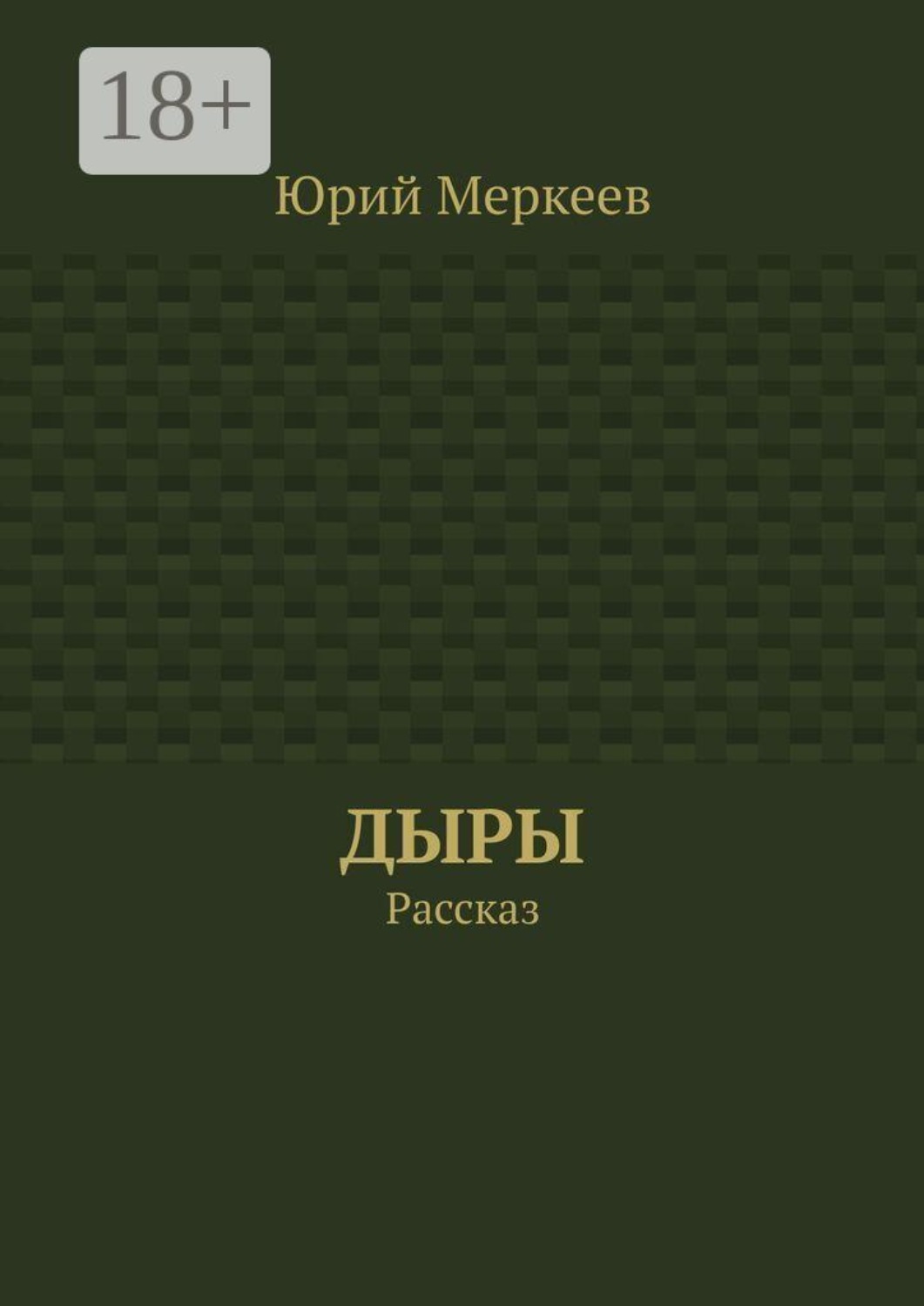 Обложка книги «Дыры. Рассказ»