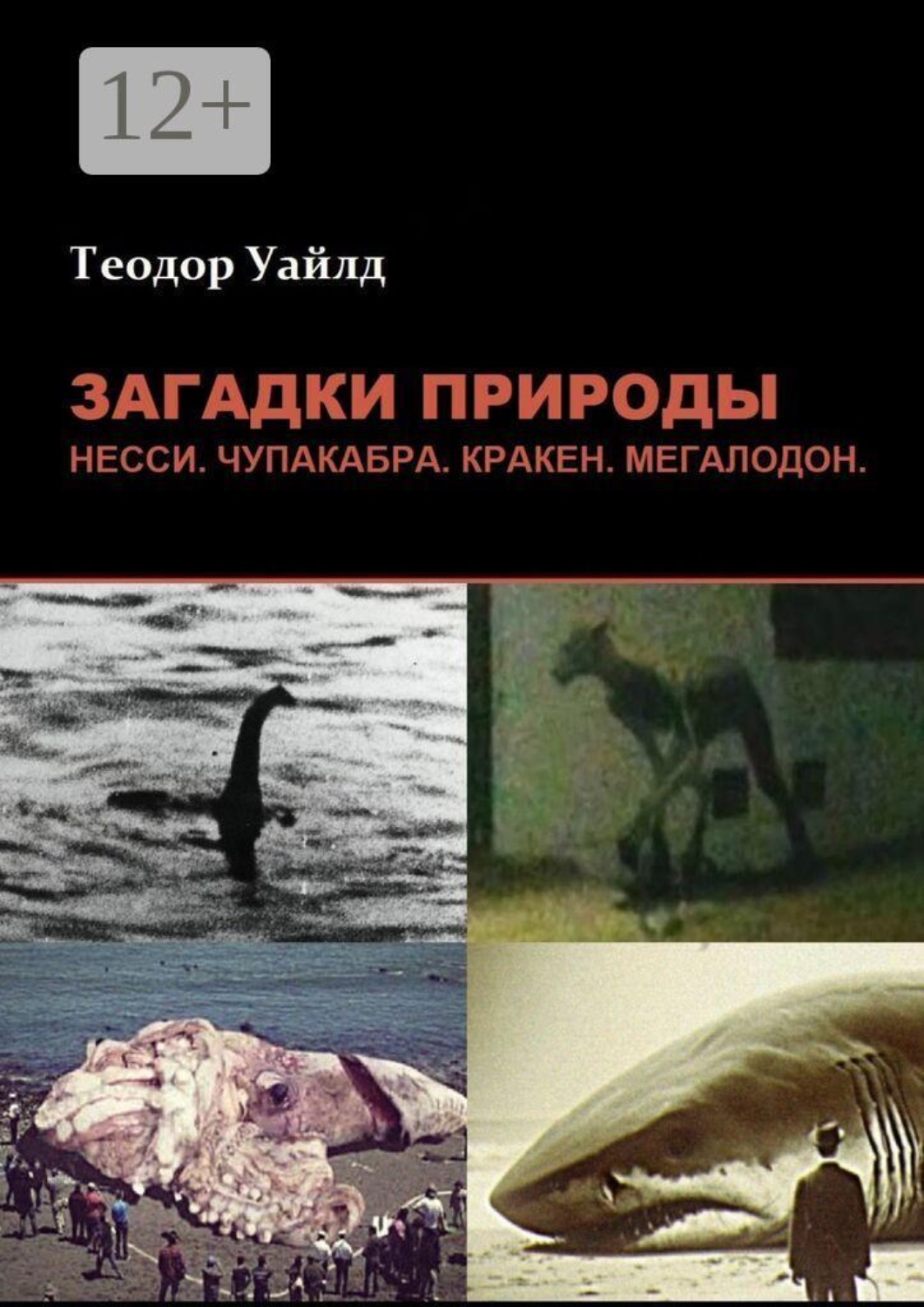 Обложка книги «Загадки природы: Несси, чупакабра, кракен, мегалодон»