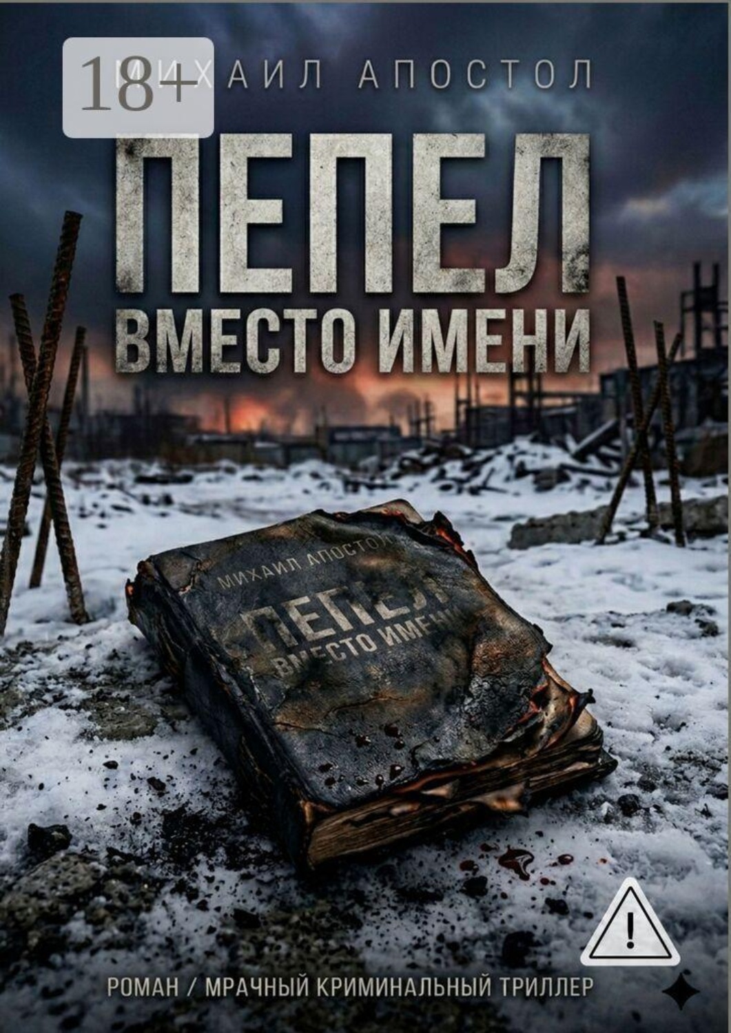 Обложка книги «Пепел вместо имени»