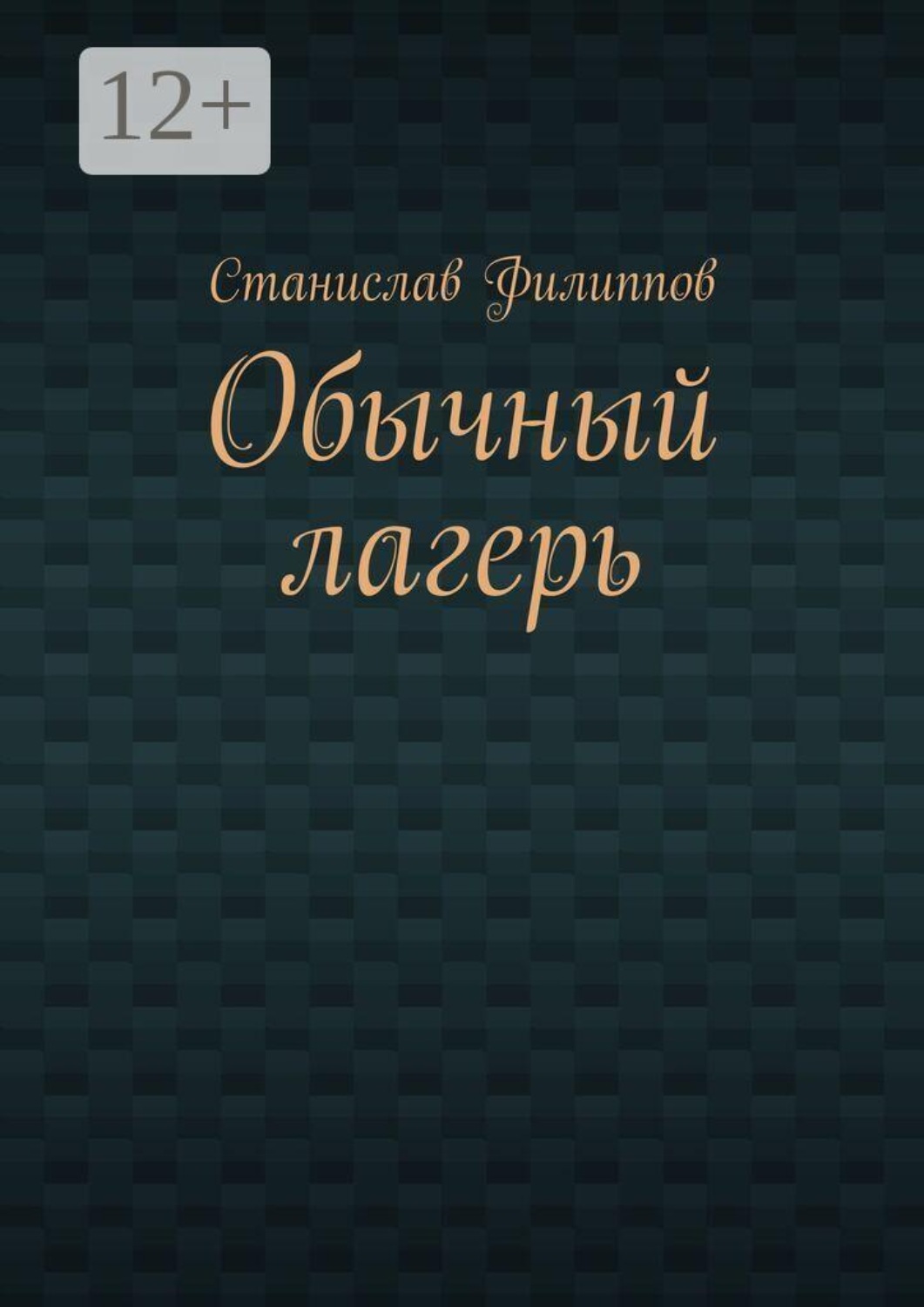 Обложка книги «Обычный лагерь»