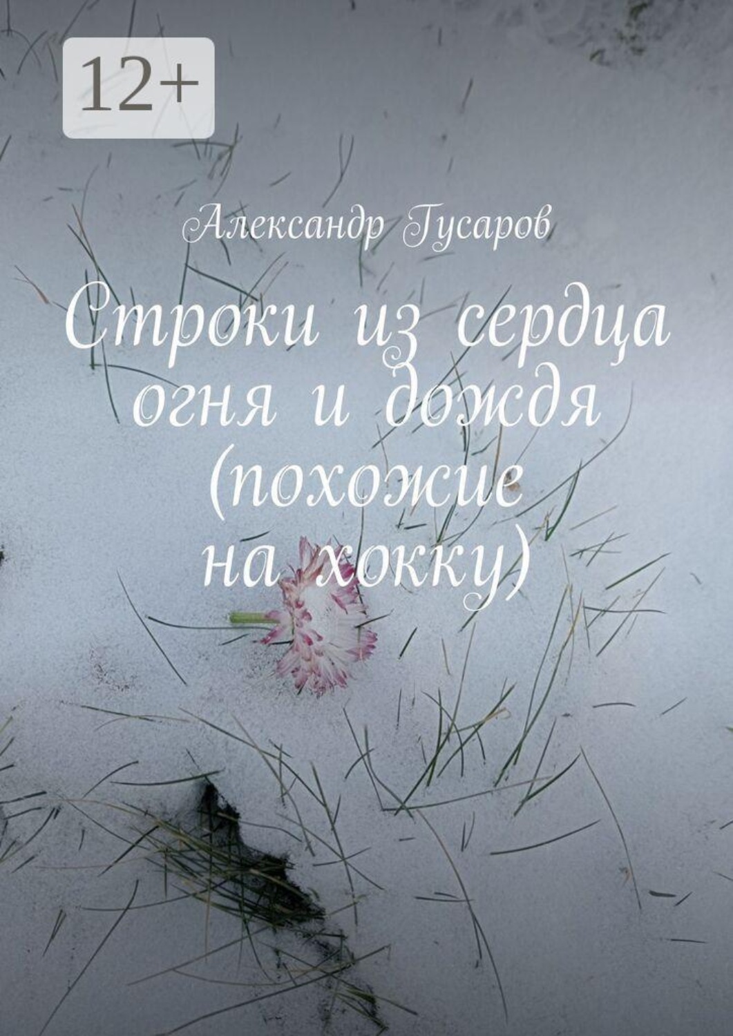 Обложка книги «Строки из сердца огня и дождя (похожие на хокку)»