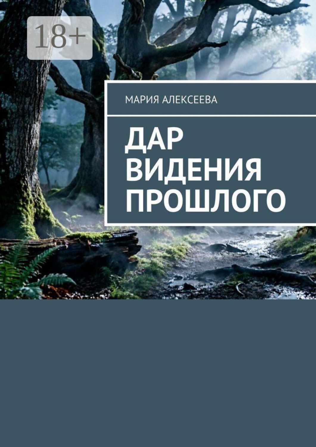 Обложка книги «Дар видения прошлого»