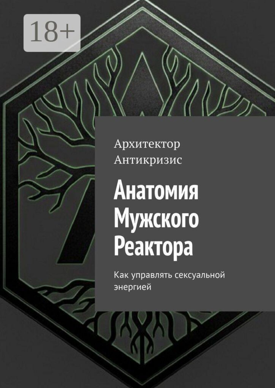 Обложка книги «Анатомия мужского реактора. Как управлять сексуальной энергией»