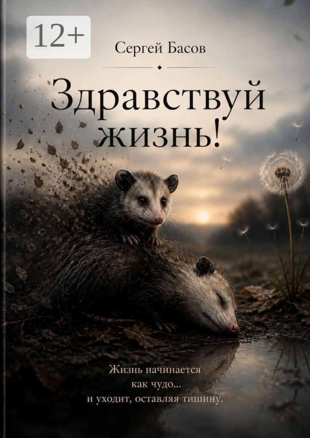 Обложка книги «Здравствуй, жизнь»
