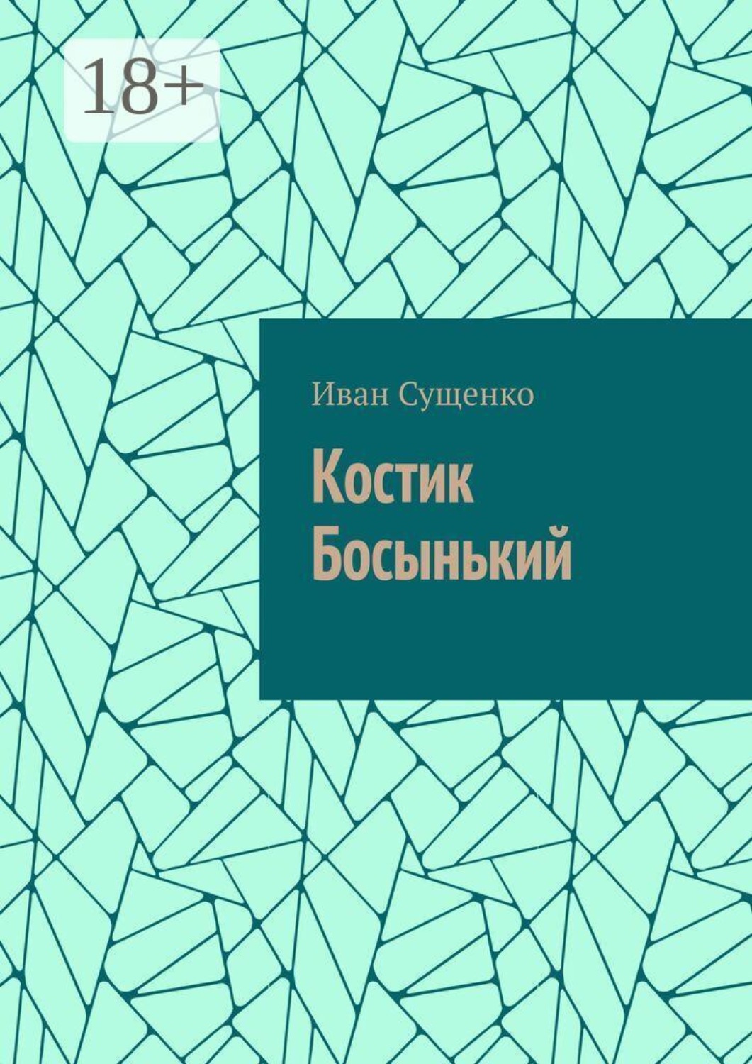 Обложка книги «Костик Босынький. История последнего юродивого»