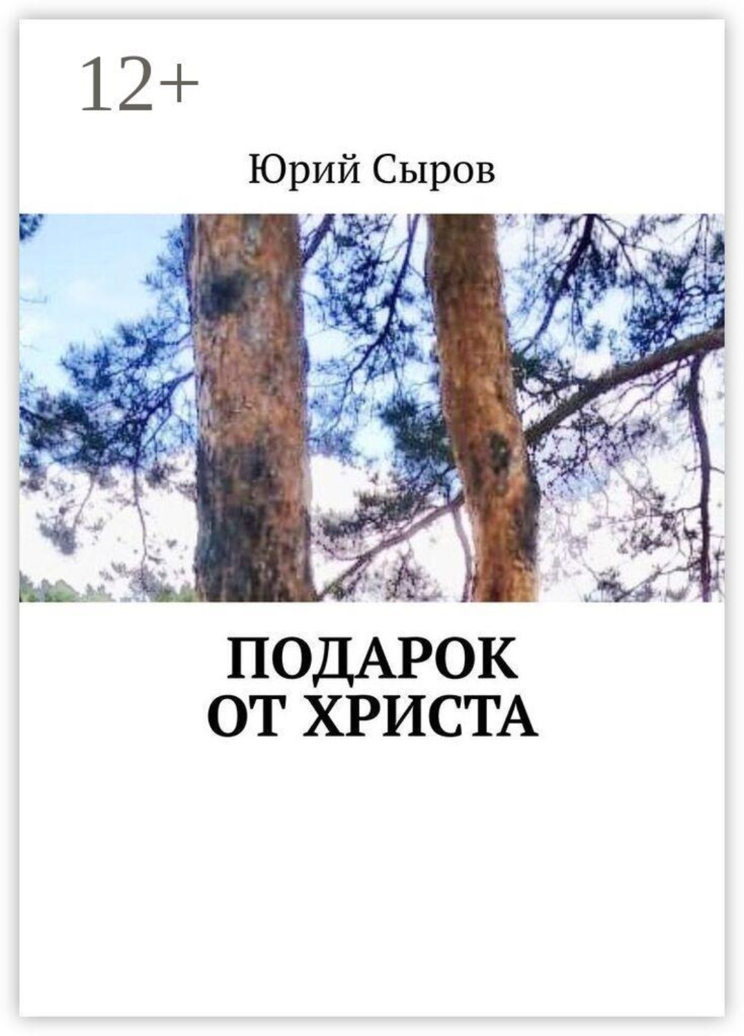 Обложка книги «Подарок от христа»