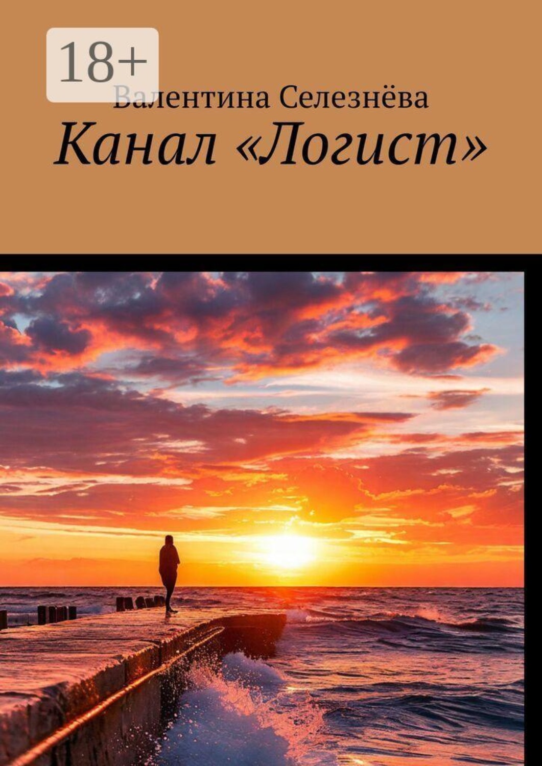 Обложка книги «Канал «Логист»»