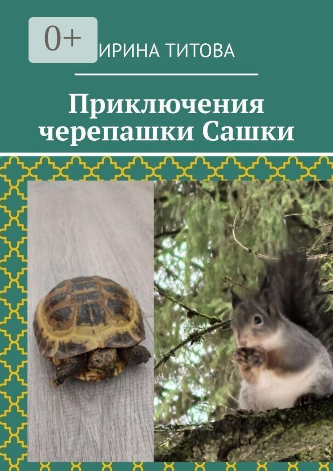 Обложка книги «Приключения черепашки Сашки»