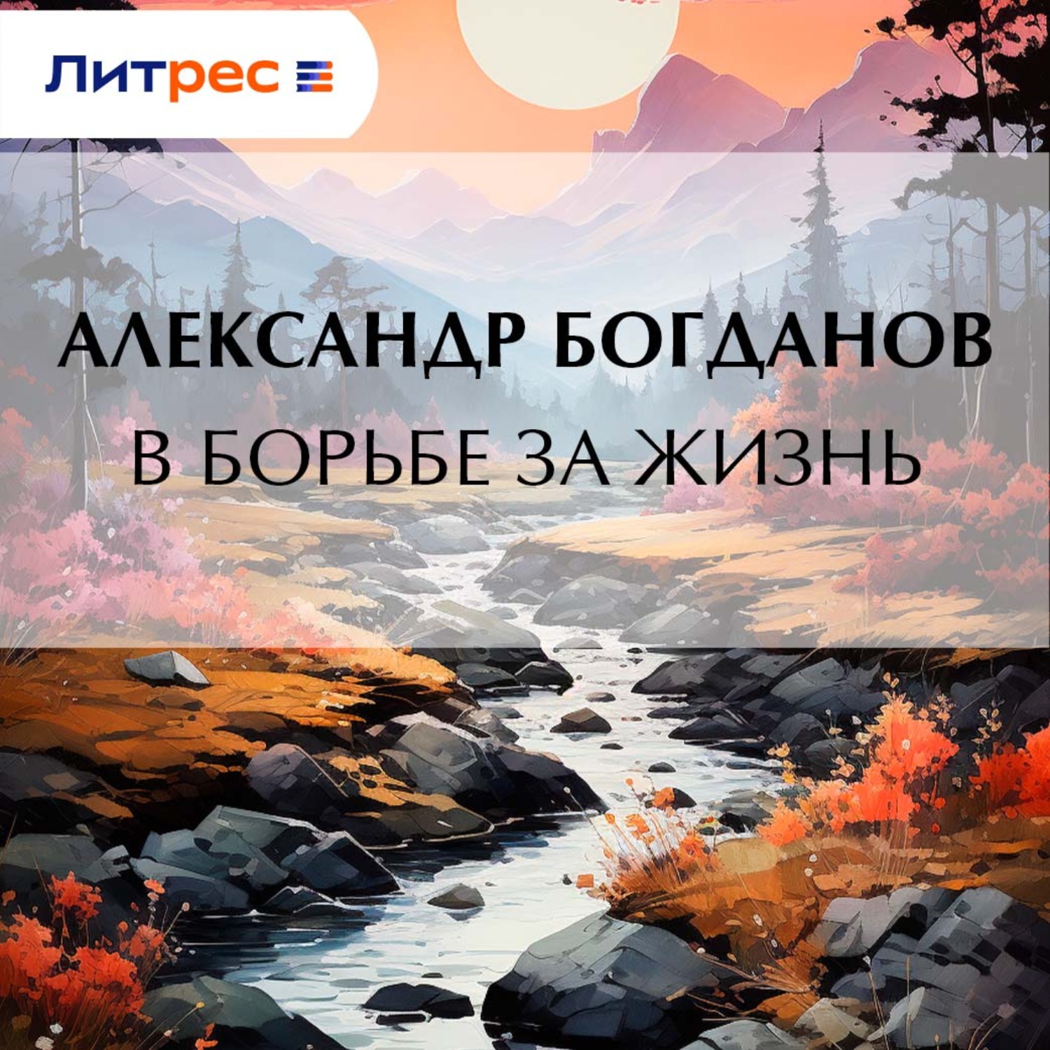 Обложка книги «В борьбе за жизнь»