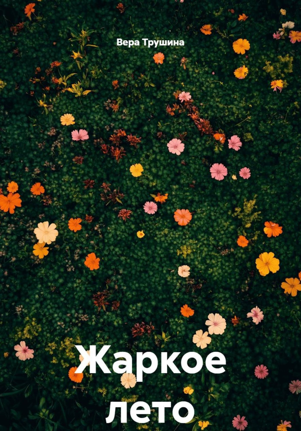 Обложка книги «Жаркое лето»