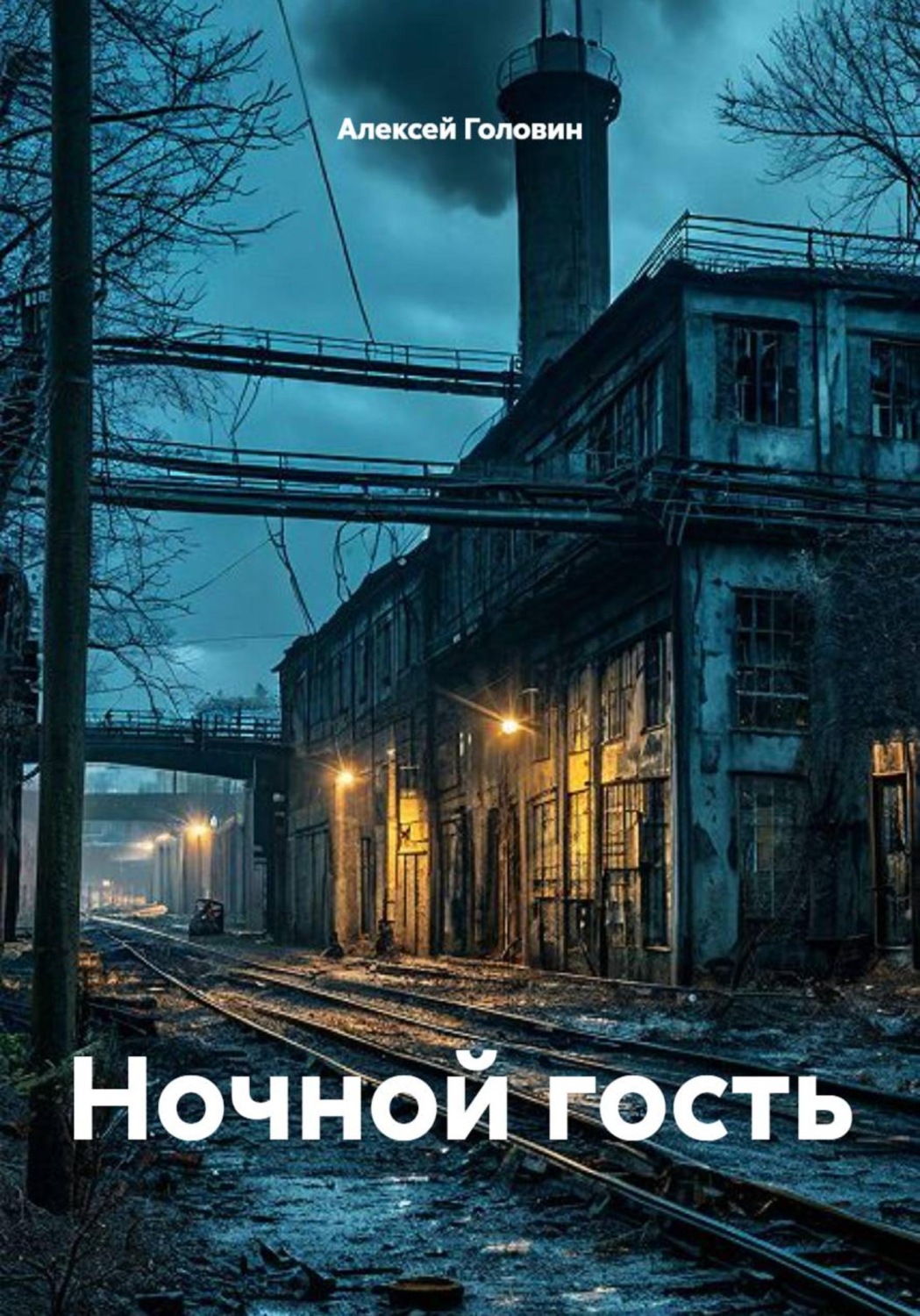 Обложка книги «Ночной гость»