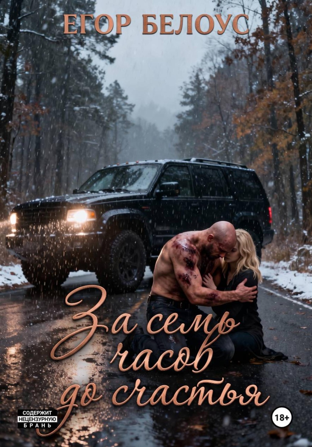 Обложка книги «За семь часов до счастья»