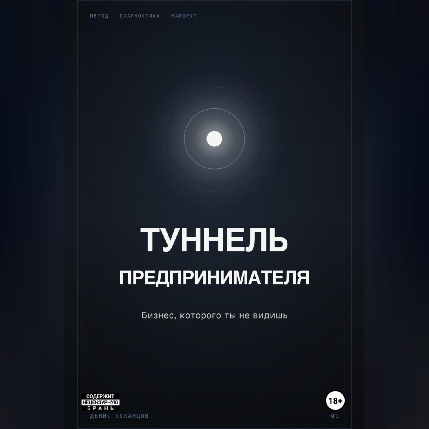 Обложка книги «ТУННЕЛЬ ПРЕДПРИНИМАТЕЛЯ. Бизнес, который ты не видишь»