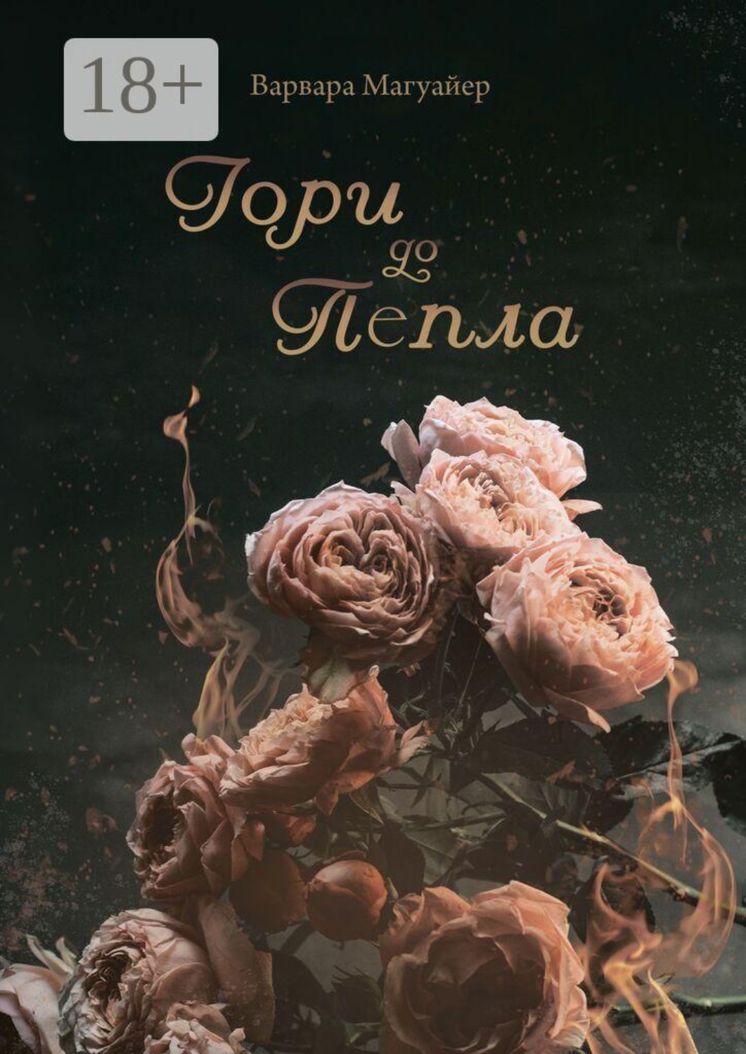 Обложка книги «Гори до пепла»