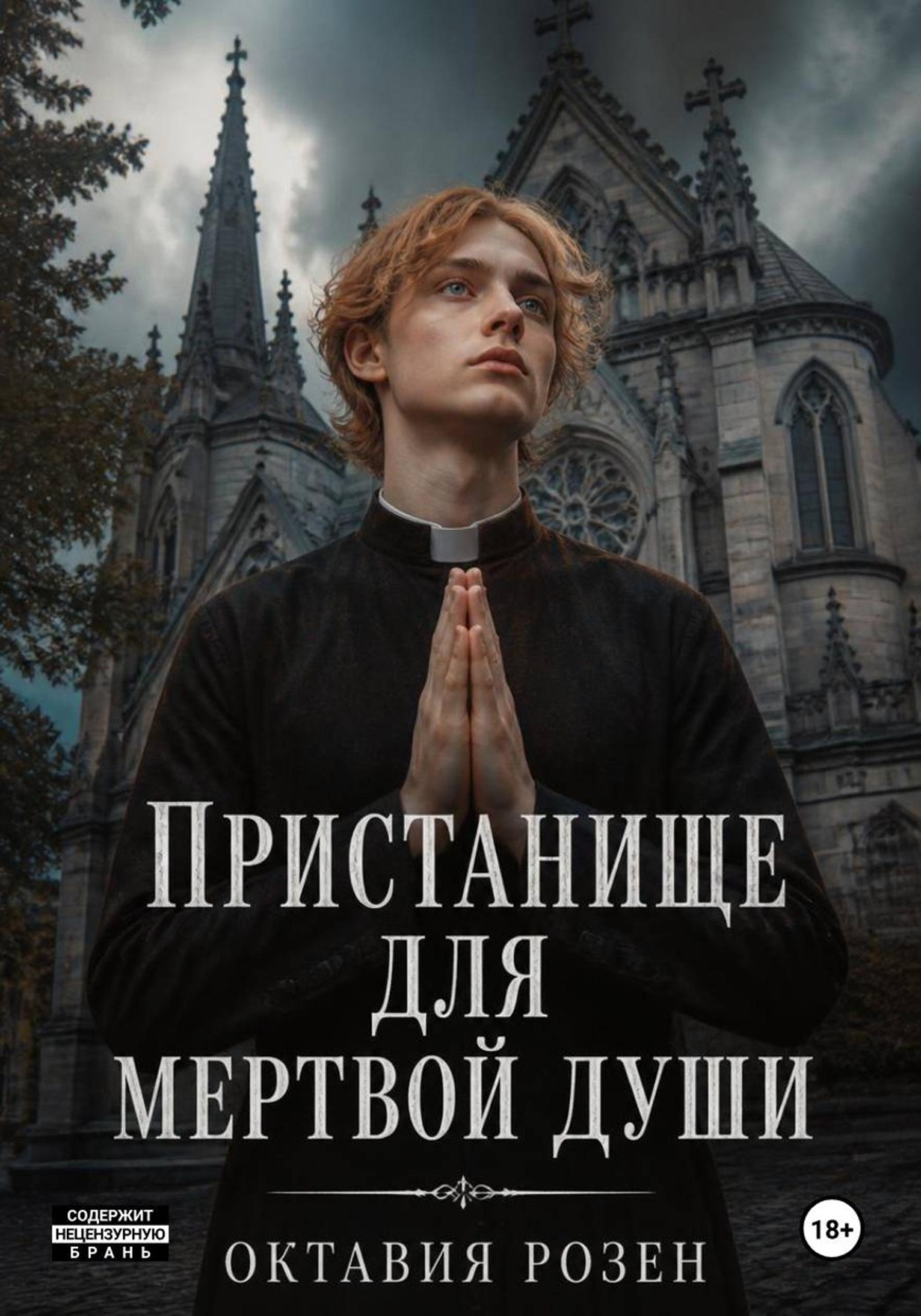 Обложка книги «Пристанище для мертвой души»