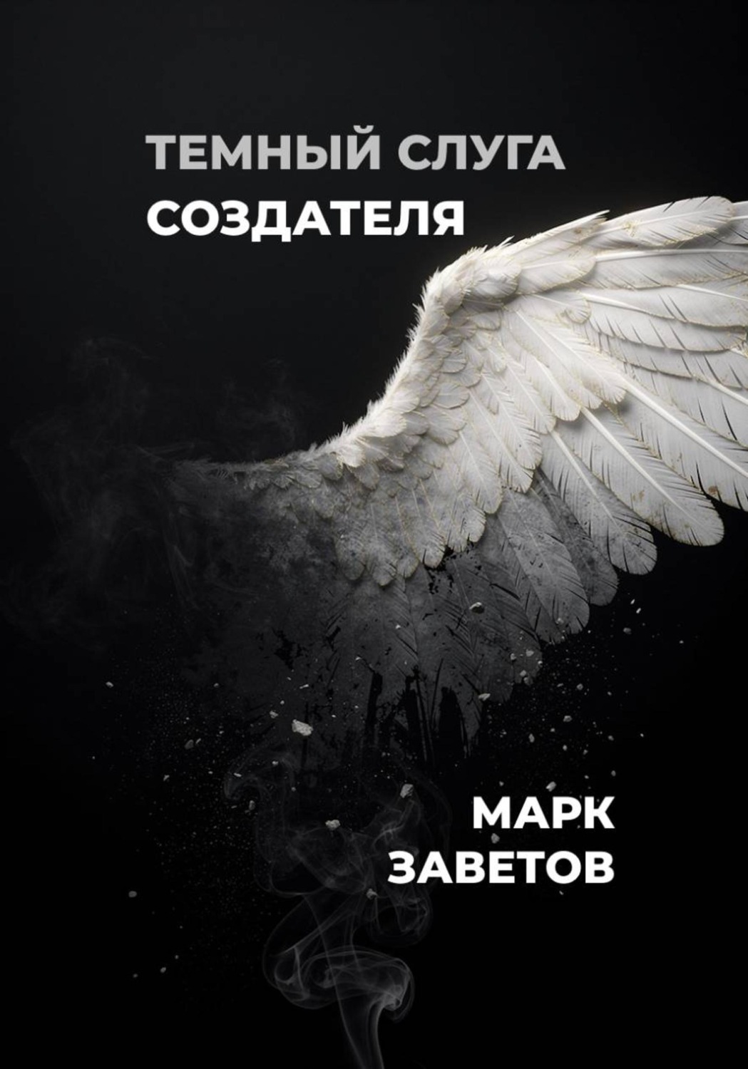 Обложка книги «Темный слуга Создателя»