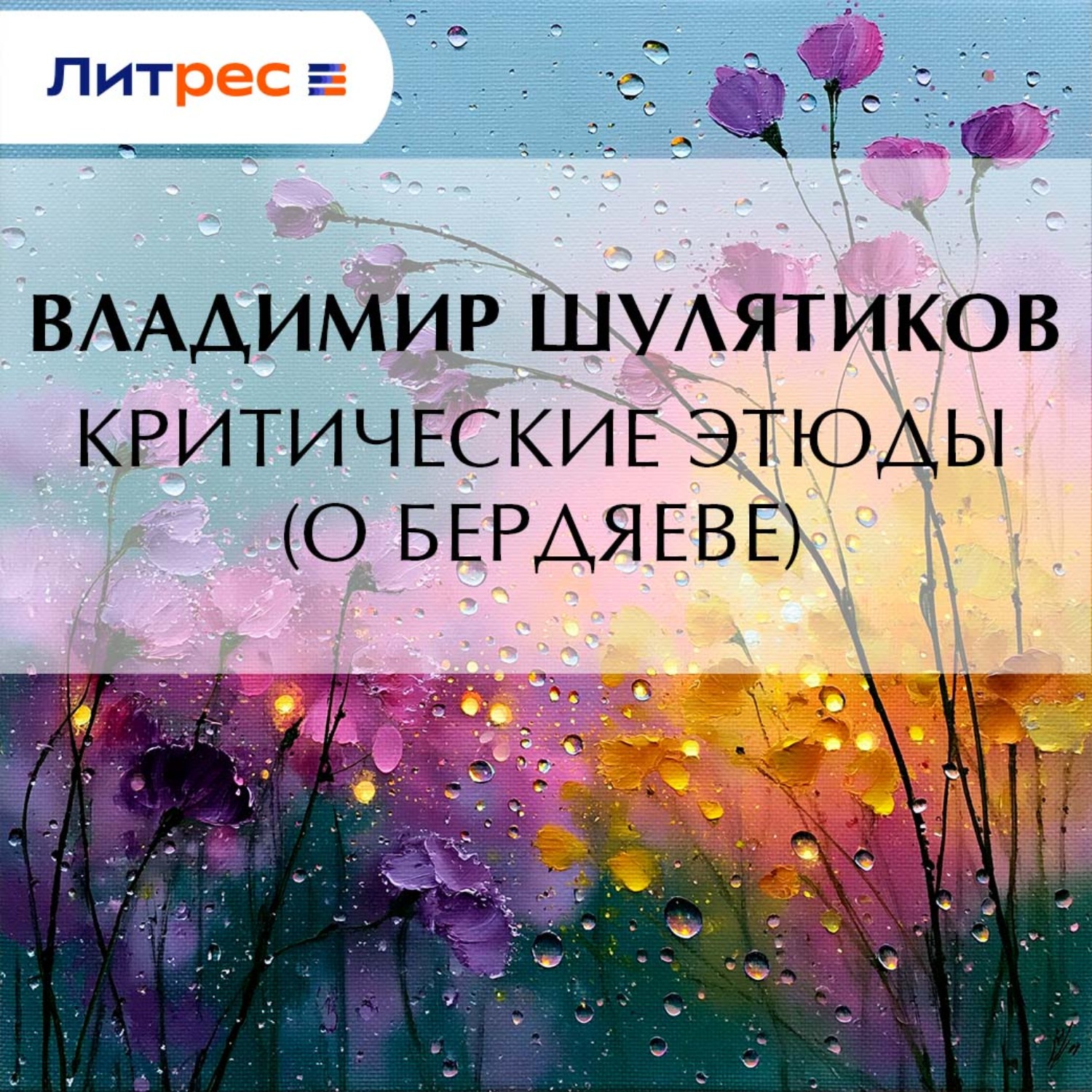 Обложка книги «Критические этюды (о Бердяеве)»