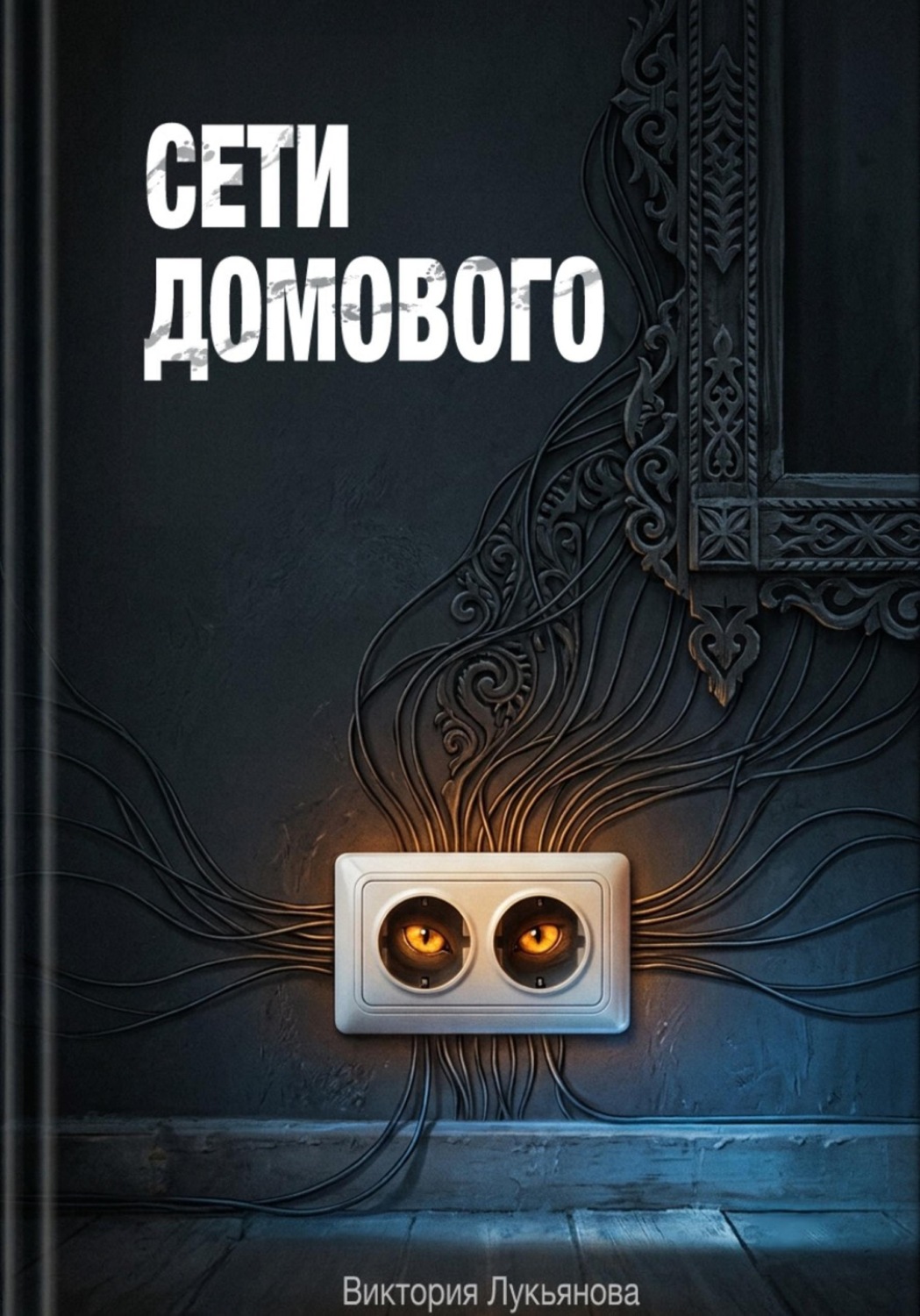 Обложка книги «Сети домового»