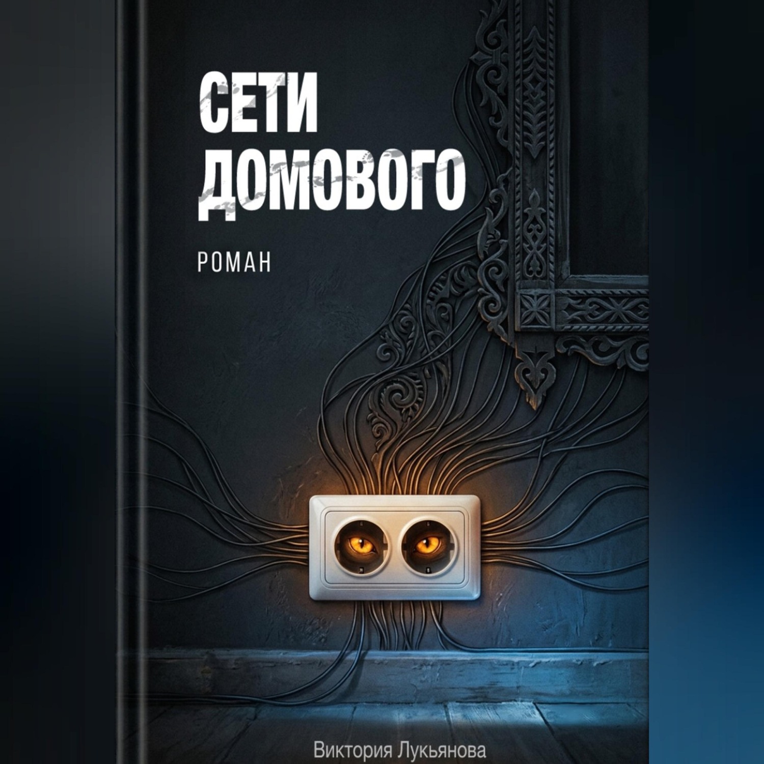 Обложка книги «Сети домового»