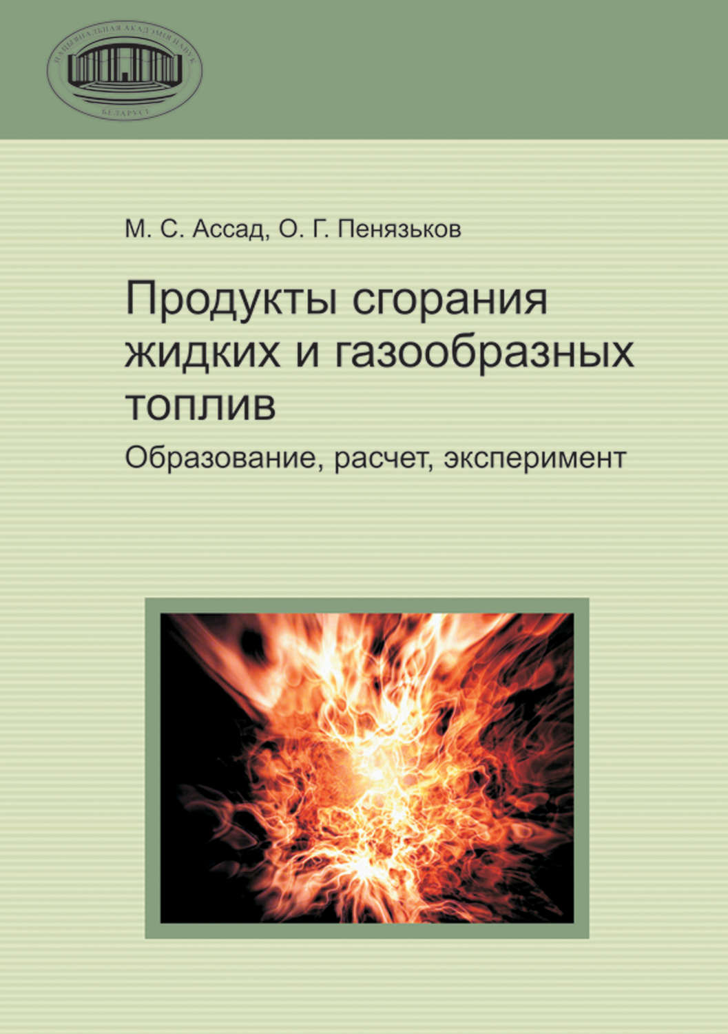 Обложка книги «Продукты сгорания жидких и газообразных топлив»