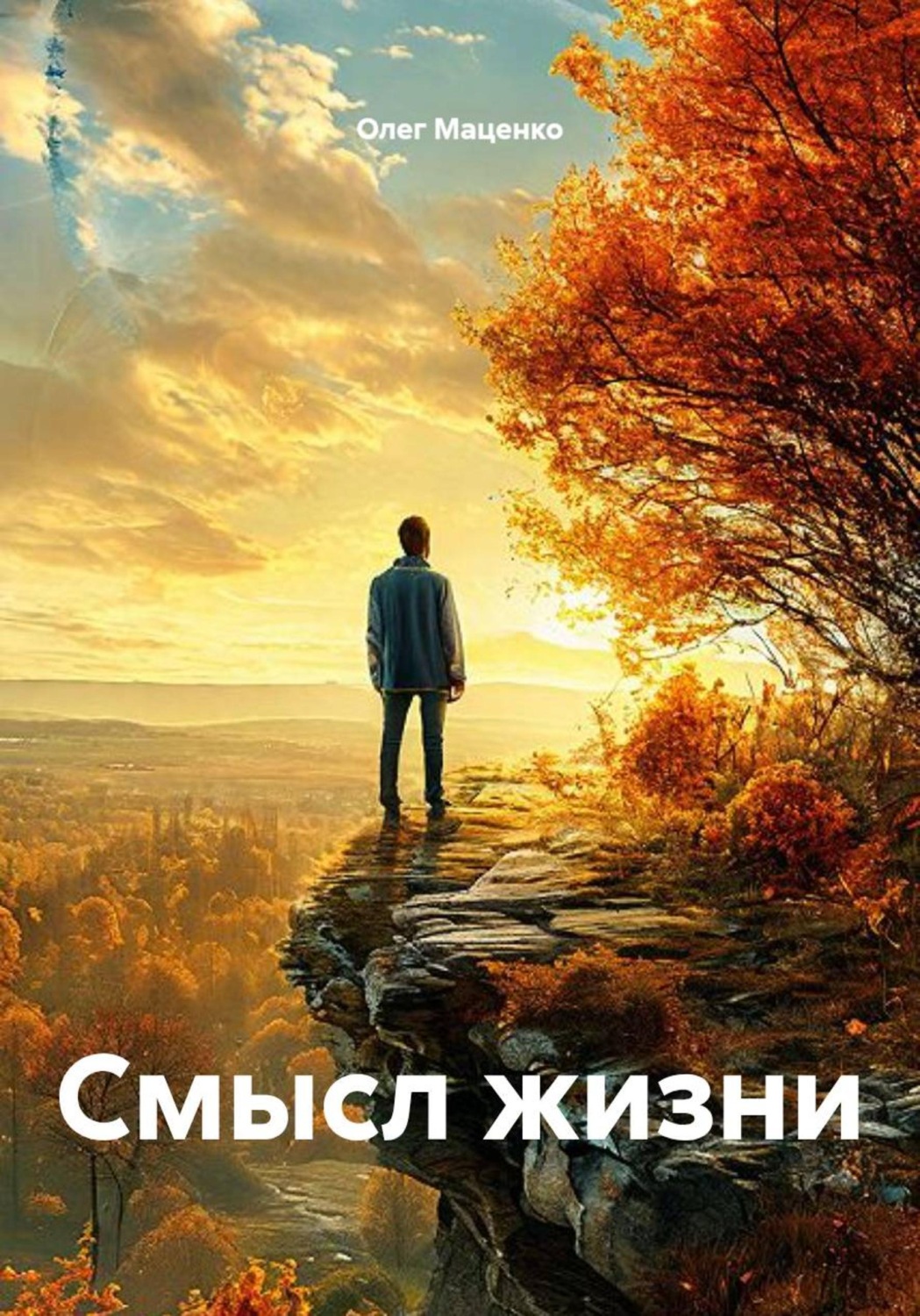 Обложка книги «Смысл жизни»