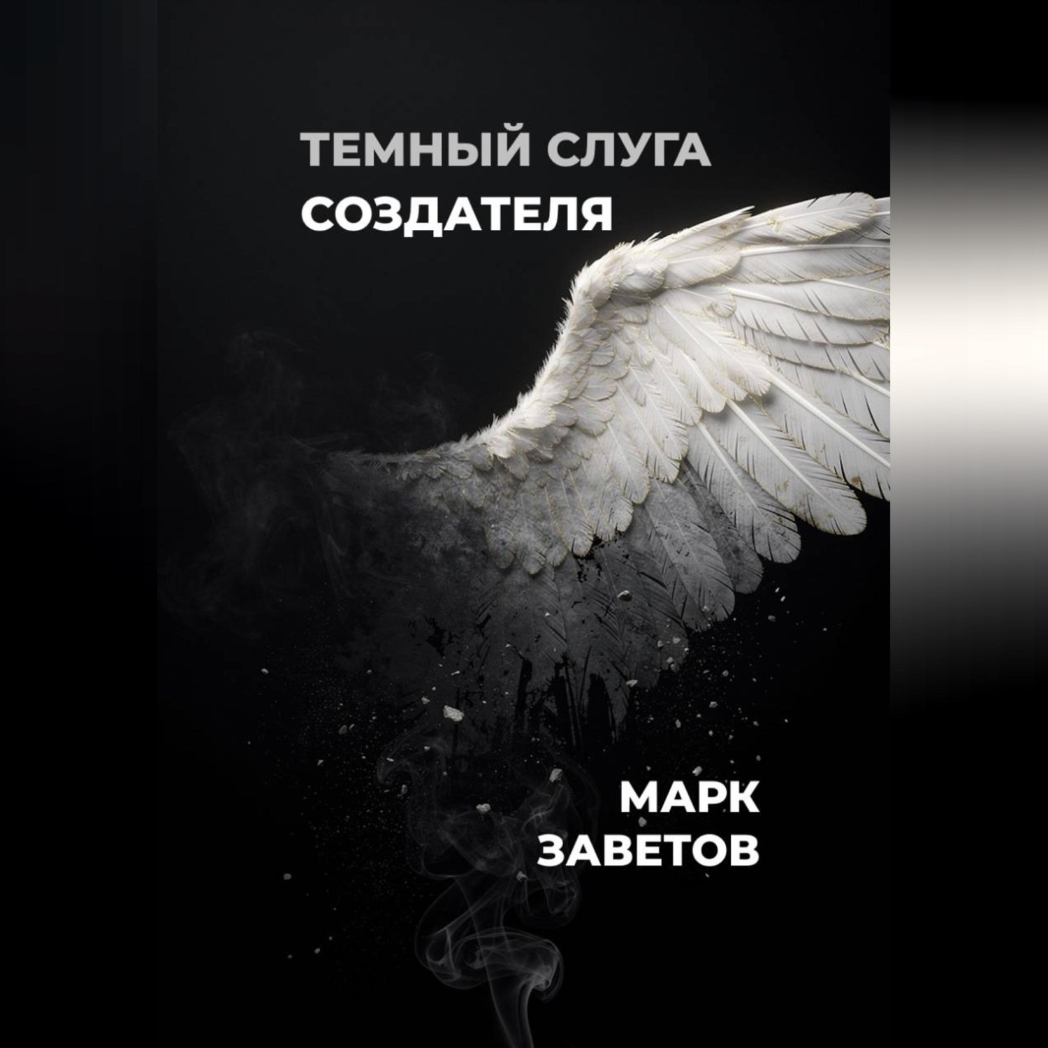Обложка книги «Темный слуга Создателя»