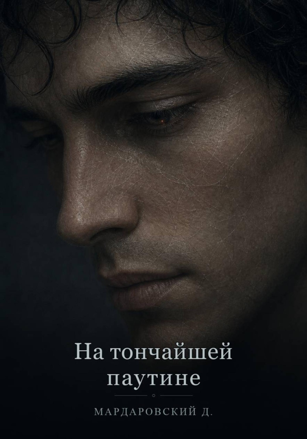 Обложка книги «На тончайшей паутине»