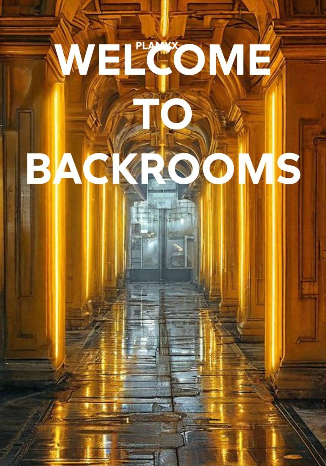 Обложка книги «WELCOME TO BACKROOMS»