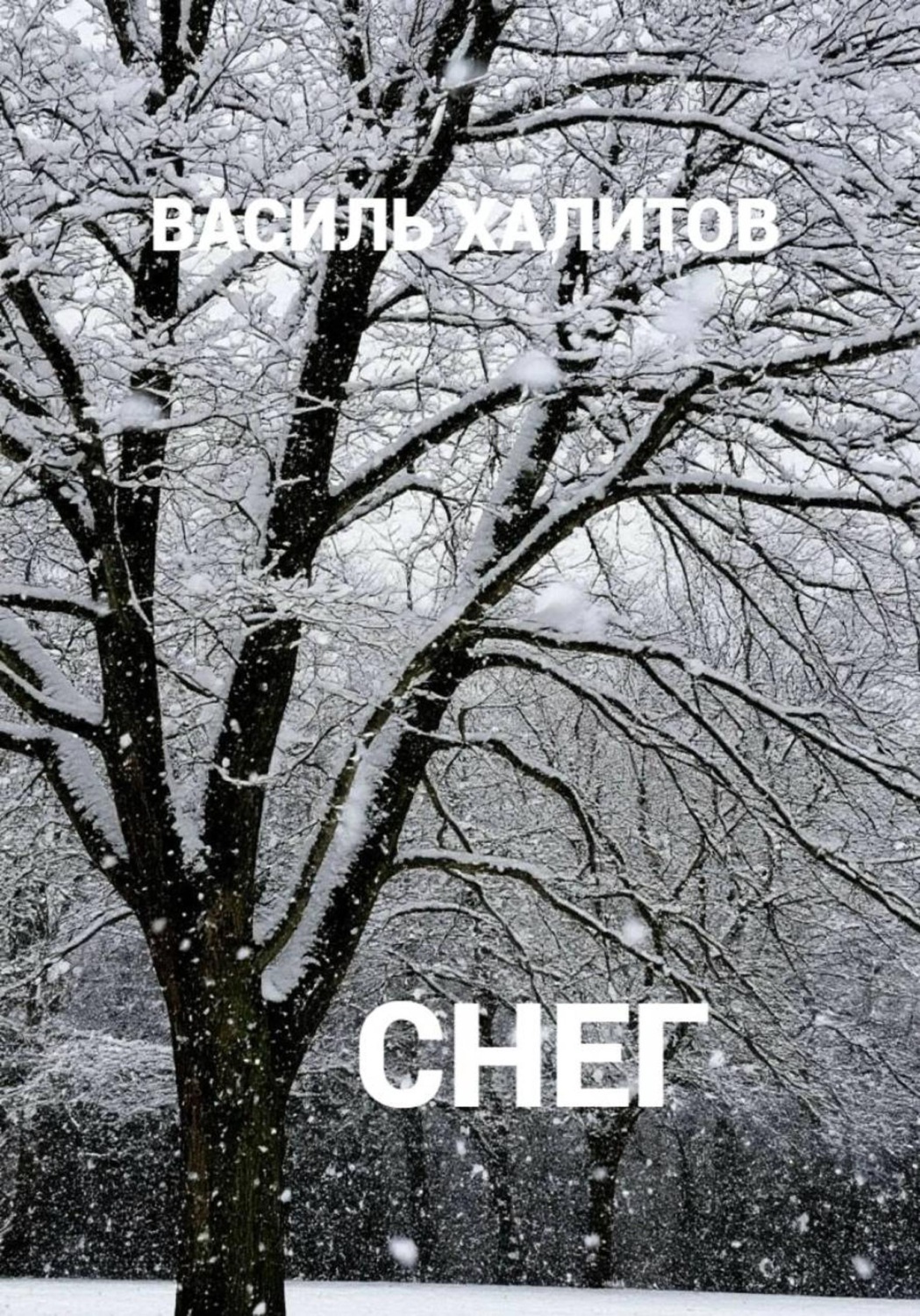 Обложка книги «Снег»