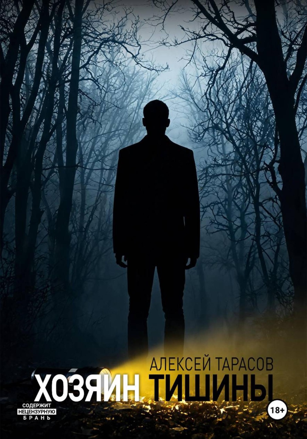 Обложка книги «Хозяин тишины»